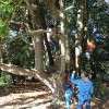 L'escalade dans les arbres encadrée par un éducateur