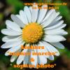 Des ateliers "sophro marche" & "sophro photo" pour pratiquer la sophrologie en extérieur différemment. Les prochains auront lieu le mercredi 15 juin. N'hésitez à venir découvrir !