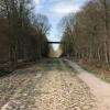 La célèbre "Trouée d'Arenberg" (Course Paris-Roubaix)
