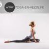 Consultez notre planning de cours Yoga sur notre site web. 
N'hésitez pas à découvrir un cours de yoga gratuit. 
