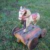 Cheval de Nagpur Inde