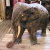 Eléphant , teck ancien ciselé Inde