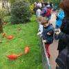 Repas des oiseaux