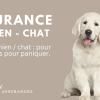 Assurance chien & chat