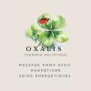 Pourquoi Oxalis ?
L’oxalis est une petite plante discrète mais pleine de ressources, avec ses feuilles en forme de cœur, elle pousse là où on ne l’attend pas et s’ouvre à la lumière.
Elle représente la capacité à retrouver la lumière, même après l’ombre.
Elle symbolise la légèreté, l’équilibre et la résilience.
Comme elle, je crois que chacun peut retrouver son élan vital avec des gestes simples, bienveillants, et profondément humains.
C’est ce que je souhaite transmettre à travers mes prestations.