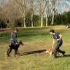 Training Dog - Éducateur Canin Comportementaliste - Aix en Provence