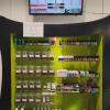Mural CBD Vapor Life