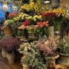 Fleurs fraîches en vente au magasin de fleurs Vila Cyrus à Rambouillet - 78